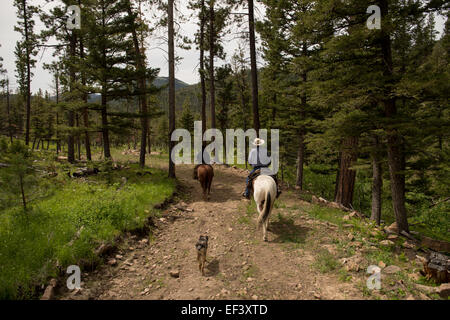 Joe Scanlon sur cheval brun et son ami Joe Krusch explorer la Blacktail Ranch à Wolf Creek, Montana. Le ranch est situé à la base de la ligne continentale de partage et c'est l'histoire remonte à la fin des années 1880, lorsque la propriété a été étendait par pioneer Gustav Rittel. (Photo par Ami Vitale) Banque D'Images