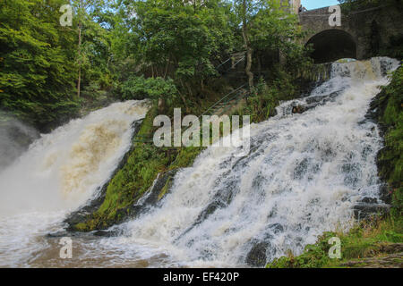 La Cascade de Coo, Cascade, sur l'Amblève dans les Ardennes Belges Banque D'Images