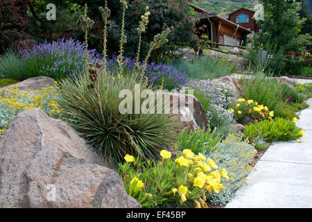 Jardin Xeriscape Banque D'Images