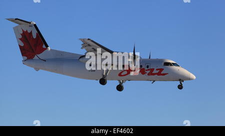 De Havilland Dash 8 C-GANF Air Canada Jazz en approche finale à l'aéroport d'OTTAWA Ottawa, Canada le 25 janvier 2015 Banque D'Images