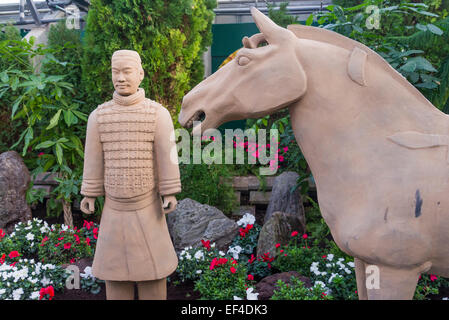 Terracotta warrior et l'affichage, la Muttart Conservatory Edmonton, Alberta Banque D'Images