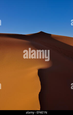 Dunes de sable au lever du soleil, Merzouga, Maroc, Afrique du Nord Banque D'Images