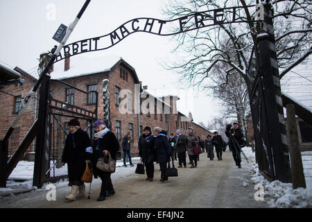 Oswiecim, Pologne. 27 Jan, 2015. Survivants passer la porte principale de l'ancien camp de concentration et d'extermination d'Nazi-German KL Auschwitz I, avant une cérémonie marquant le 70e anniversaire de la libération de l'ancien camp de concentration et d'extermination d'Nazi-German KL Auschwitz-Birkenau en Oswiecim, Pologne, 27 janvier 2015. Photo : Rolf Vennenbernd/dpa/Alamy Live News Banque D'Images