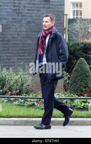 Westminster, London, UK. 27 janvier, 2015. Jeremy Hunt Secrétaire de la santé arrive à Downing Street pour la réunion hebdomadaire du cabinet. Credit : amer ghazzal/Alamy Live News Banque D'Images