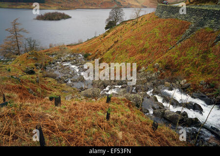 Haweswater dans le Parc National du Lake District, Cumbria Banque D'Images