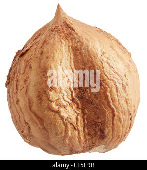 Noisettes décortiquées isolé sur un fond blanc. Chemin de détourage. Banque D'Images