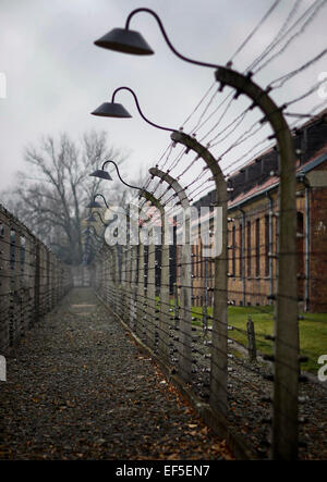 (150127) -- Bruxelles, le 27 janvier 2015 (Xinhua) -- Photo prise le 9 novembre 2012 montre les barbelés à l'ancien camp de concentration d'Auschwitz à Oswiecim, Pologne. Les célébrations du 70e anniversaire de la libération du camp de concentration d'Auschwitz a commencé dans le sud de la ville polonaise d'Oswiecim, mardi matin. Le camp de concentration a été fondée en 1940 par les Allemands surtout pour le but d'emprisonner des prisonniers polonais. Depuis 1942 il est devenu l'Europe est l'un des plus grands lieux d'extermination des Juifs, avec plus de 1,1 millions de personnes tuées, également, y compris les poteaux, les Roumains, les prisonniers soviétiques un Banque D'Images