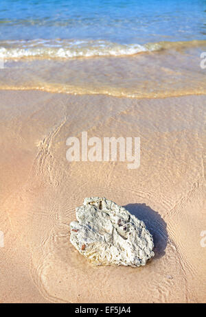 La plage de corail blanc sur la nature, l'arrière-plan vertical. Banque D'Images
