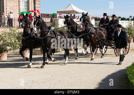 La concurrence pour les voitures traditionnelles Iternational 'La Venaria Reale',type de transport : Break,Chevaux : T4,KWPN Italie Banque D'Images