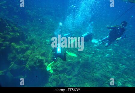 Sangir-talaud, Indonésie. 27 Jan, 2015. Les amateurs de plongée sous-marine Plongée sur le site de volcan sous-marin près de l'île Wuhu Banua Mahegentang dans les îles Sangihe, au nord de Sulawesi, Indonésie, 27 janvier 2015. Le cratère de spot Wuhu Banua est marquée par des bulles dans les rochers. La température moyenne est allant de 37 à 38 degrés Celsius. © Zulkarnain/Xinhua/Alamy Live News Banque D'Images