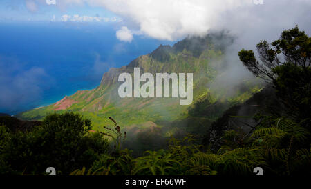 Kalalau Lookout, Kokee State Park, Kauai, Hawaii Banque D'Images