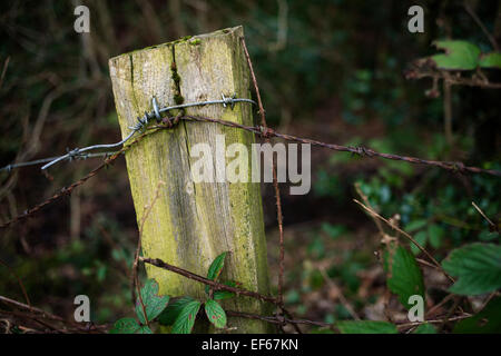 Un vieux poteau de clôture du pays. Banque D'Images