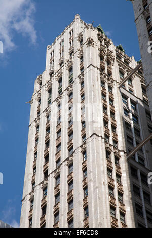 Woolworth Building, City Hall Park et Broadway, Manhattan, New York, USA, Amérique Latine Banque D'Images