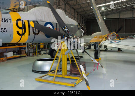 La Marine royale Hawker Sea Fury T.20 WG655 restauré, Duxford, IWM Banque D'Images