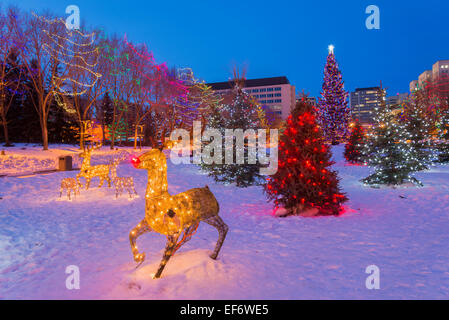 Affichage de Noël avec Rudolph the Red Nosed Reindeer, Assemblée législative, Edmonton, Alberta, Canada Banque D'Images