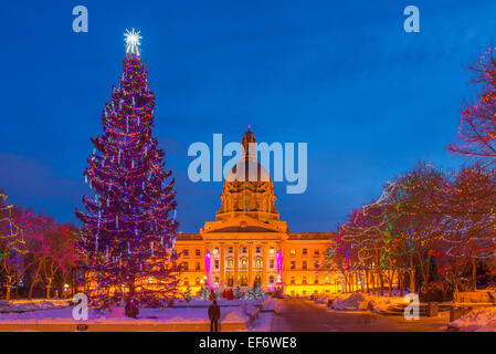 L'Assemblée législative de l'Alberta avec l'arbre de Noël et de l'affichage des feux, Edmonton, Alberta, Canada Banque D'Images