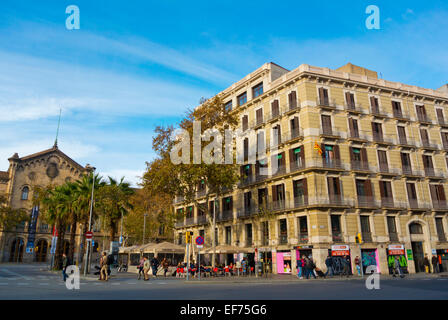 Plaça de la Universitat, la place en face de l'immeuble principal de l'université, Barcelone, Espagne Banque D'Images