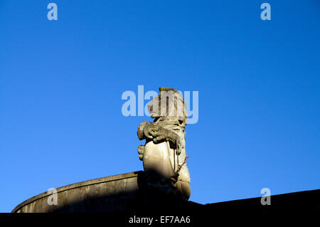 Lion en pierre sculptée sur le bâtiment, Roath, Cardiff, Pays de Galles, Royaume-Uni. Banque D'Images