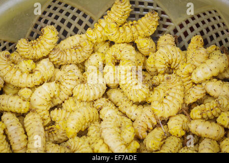 Les vers de bambou jaune au marché local au Vietnam. Banque D'Images