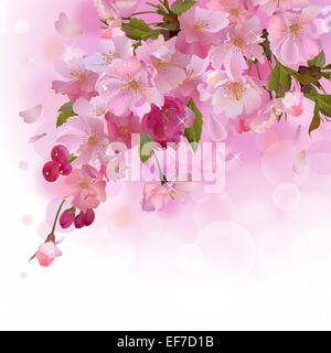 Vector background ressort avec une succursale de belles fleurs Illustration de Vecteur