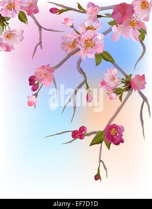 Vector background with gentle sakura branches de fleurs Illustration de Vecteur