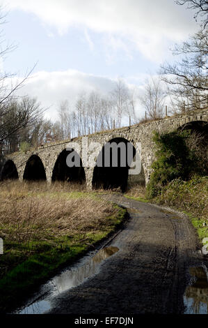 Viaduc de chemin de fer besideds Dissused Rhymney Sentier riverain, Machen, Caerphilly, pays de Galles, Royaume-Uni. Banque D'Images