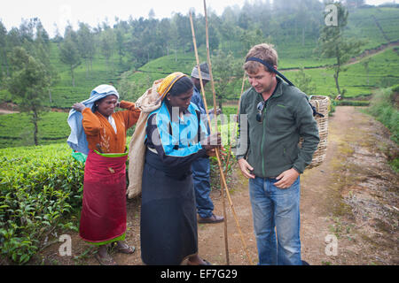 Essayant de TOURISME SUR LE THÉ PANIER CUEILLETTE Banque D'Images