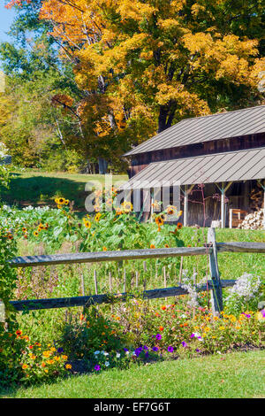 Automne scenic - Chalet jardin, clôture en lisse, bûcher et feuillage d'Automne dans le Vermont, États-Unis d'Amérique. Banque D'Images