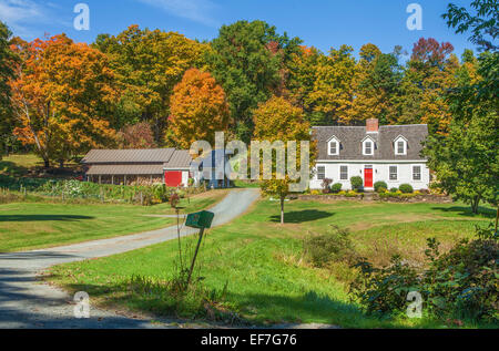 Façade d'un bâtiment restauré de style Cape Accueil Nouvelle Angleterre grange, hangar et entouré d'arbres d'érable coloré feuillage en automne. Banque D'Images