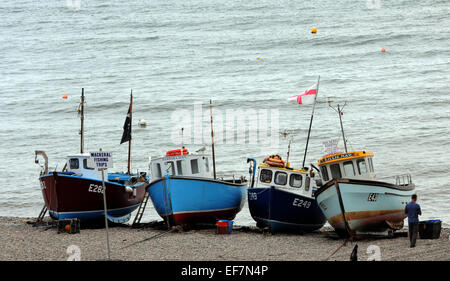 Septembre 2014 bateaux de pêche sur la plage à la bière, dans le sud du Devon. Mike Walker Images Banque D'Images