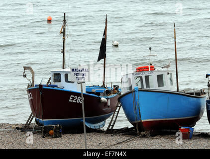 Septembre 2014 bateaux de pêche sur la plage à la bière, dans le sud du Devon. Mike Walker Images Banque D'Images