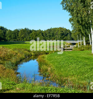 La composition du paysage estonien sur le terrain Banque D'Images