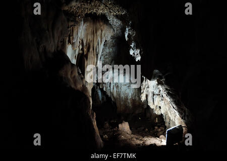 Manot Grotte, Israël. 28 janvier, 2015. 55 000 ans d'un crâne humain découvert dans la grotte de Manot dans l'ouest de la Galilée prouve, selon les scientifiques, que l'homme moderne (Homo sapiens) a migré depuis l'Afrique vers le reste du monde il y a environ 65 000 ans. Chercheurs considèrent le crâne, la première preuve fossilisée à l'extérieur de l'Afrique, 'l'une des plus importantes découvertes dans l'étude de l'évolution humaine. Credit : Alon Nir/Alamy Live News Banque D'Images