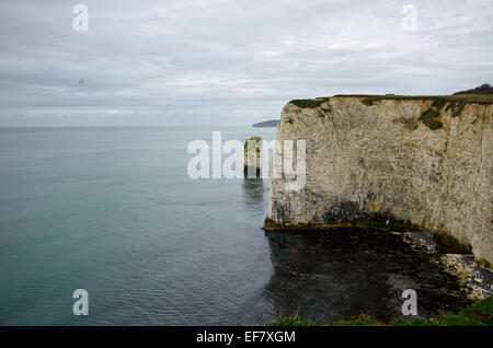 L'Old Harry Rocks, Jurassic Coast, Dorset Banque D'Images