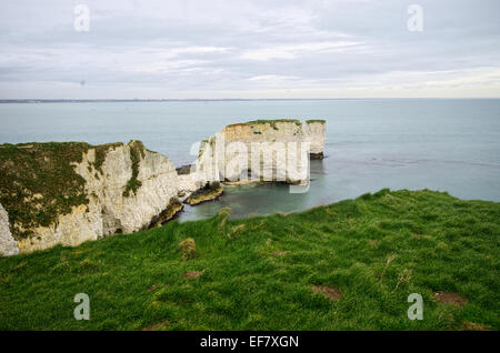 L'Old Harry Rocks, Jurassic Coast, Dorset Banque D'Images