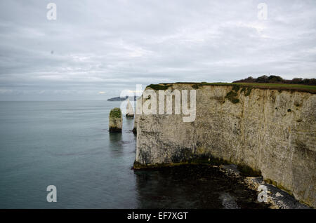 L'Old Harry Rocks, Jurassic Coast, Dorset Banque D'Images