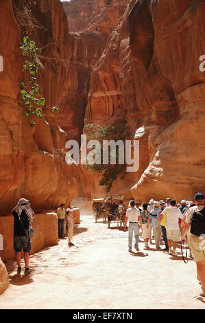 Canyon de haut en Jordanie Petra auprès des touristes Banque D'Images