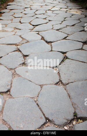 Chaussée de bloc dans le forum romain de Rome, Italie Banque D'Images