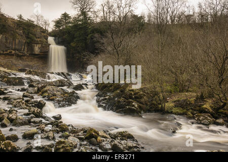 Thornton de travail sur l'Ingleton Cascades marche en plein débit après deux jours de pluie avait lavé la neige des collines. Banque D'Images