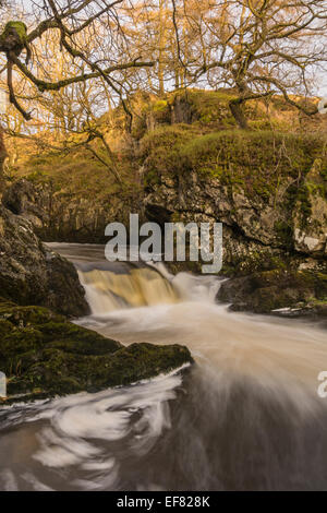 Chutes de neige sur la célèbre promenade dans les chutes d''Ingleton Yorkshire Dales. Banque D'Images