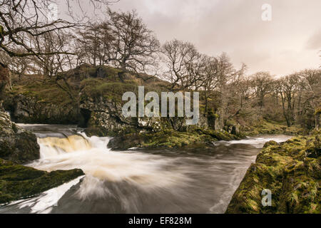 Chutes de neige sur la célèbre promenade dans les chutes d''Ingleton Yorkshire Dales. Banque D'Images