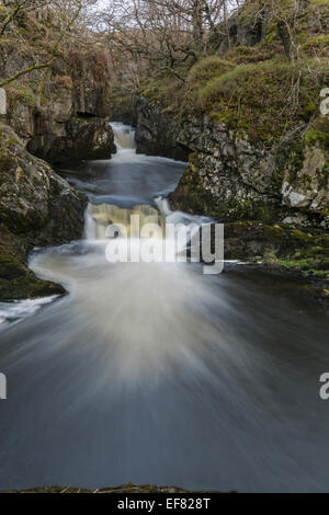 Chutes de neige sur la célèbre promenade dans les chutes d''Ingleton Yorkshire Dales. Banque D'Images