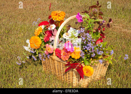 Fleurs et feuillage en brillantes couleurs d'automne dans un panier en osier contre grass background Banque D'Images