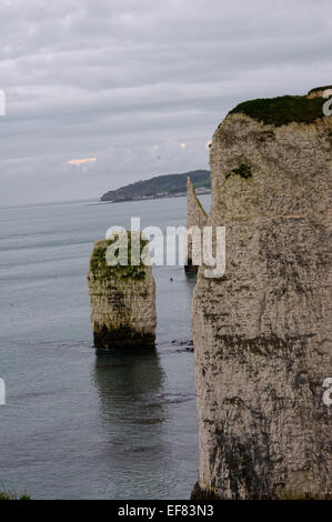 L'Old Harry Rocks, Jurassic Coast, Dorset Banque D'Images