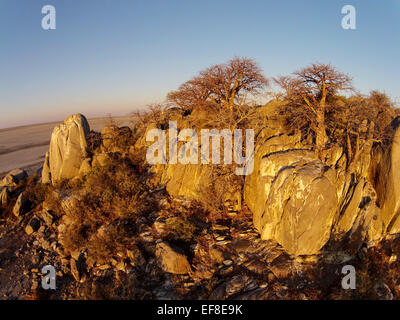 L'Afrique, Botswana, vue aérienne de coucher du soleil la lumière sur les Baobabs au sommet rocheux de granit à sec de Kubu Island dans Makgadikgadi Pan dans Banque D'Images