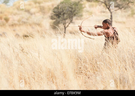 Un comité permanent dans les hautes herbes Bushmen du Kalahari utilise un arc et une flèche à la chasse, le sud de la Namibie, l'Afrique Banque D'Images