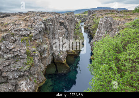 Parc national de Thingvellir en Islande, de l'eau et les roches Banque D'Images
