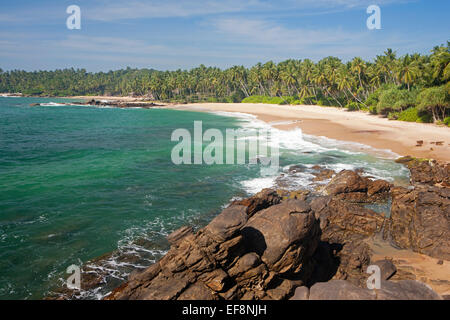 Plage déserte à TANGALLA AVEC PALMIERS Banque D'Images