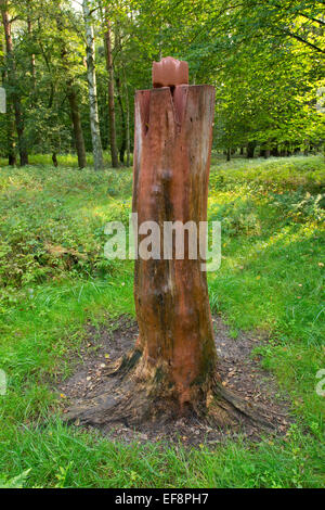 Pour lécher le gibier sauvage, Basse-Saxe, Allemagne Banque D'Images
