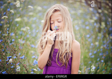 Portrait of young girl smelling flower (6-7) dans le champ de chicorée Banque D'Images